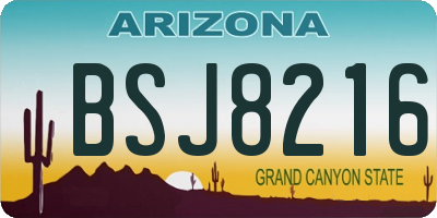 AZ license plate BSJ8216