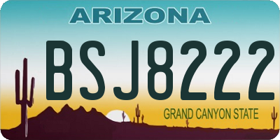 AZ license plate BSJ8222