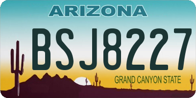 AZ license plate BSJ8227