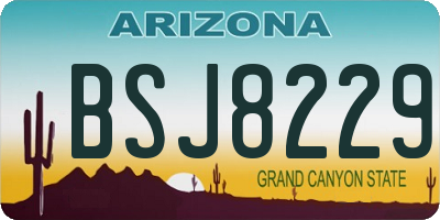 AZ license plate BSJ8229