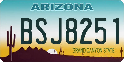 AZ license plate BSJ8251