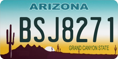 AZ license plate BSJ8271