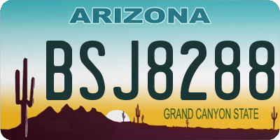 AZ license plate BSJ8288