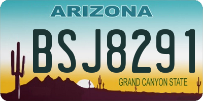 AZ license plate BSJ8291