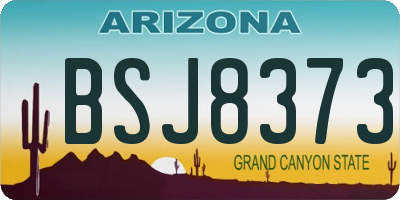 AZ license plate BSJ8373