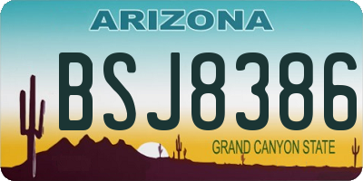 AZ license plate BSJ8386