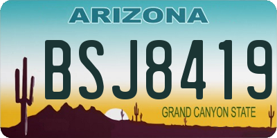 AZ license plate BSJ8419