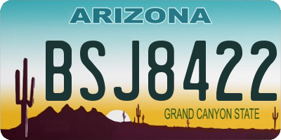 AZ license plate BSJ8422