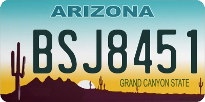 AZ license plate BSJ8451
