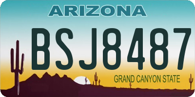 AZ license plate BSJ8487