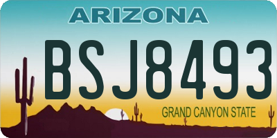 AZ license plate BSJ8493