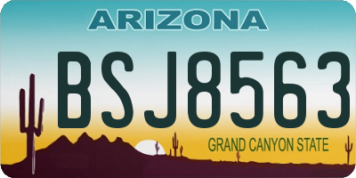 AZ license plate BSJ8563