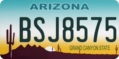 AZ license plate BSJ8575