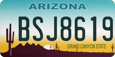 AZ license plate BSJ8619