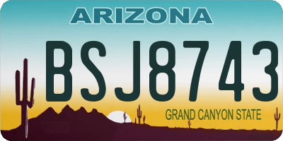 AZ license plate BSJ8743