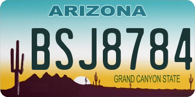 AZ license plate BSJ8784