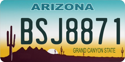 AZ license plate BSJ8871