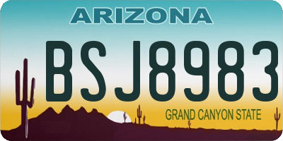 AZ license plate BSJ8983