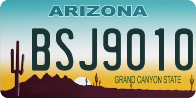 AZ license plate BSJ9010