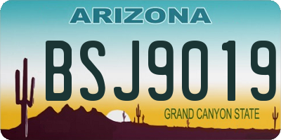 AZ license plate BSJ9019