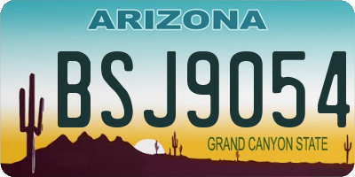 AZ license plate BSJ9054