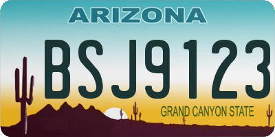 AZ license plate BSJ9123