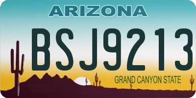 AZ license plate BSJ9213