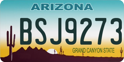 AZ license plate BSJ9273