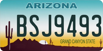 AZ license plate BSJ9493