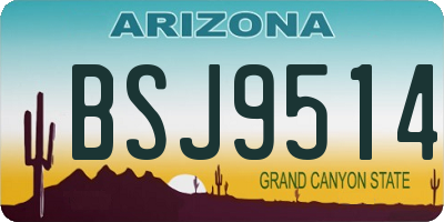 AZ license plate BSJ9514