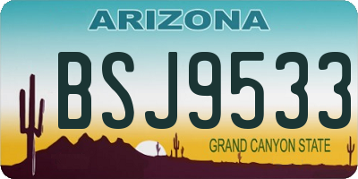 AZ license plate BSJ9533