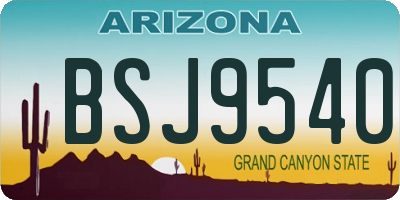 AZ license plate BSJ9540