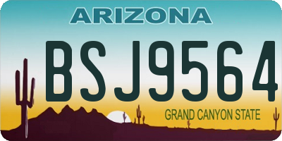 AZ license plate BSJ9564
