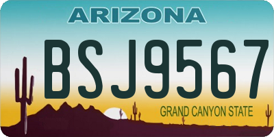 AZ license plate BSJ9567