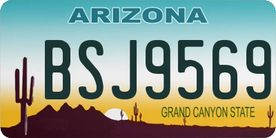AZ license plate BSJ9569