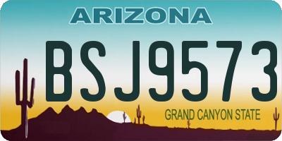 AZ license plate BSJ9573