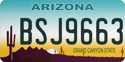 AZ license plate BSJ9663