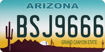 AZ license plate BSJ9666