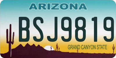 AZ license plate BSJ9819