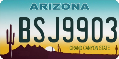 AZ license plate BSJ9903