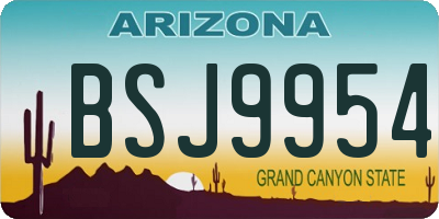 AZ license plate BSJ9954