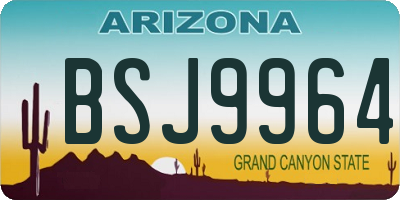 AZ license plate BSJ9964