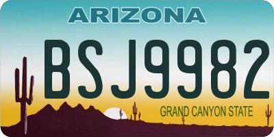 AZ license plate BSJ9982