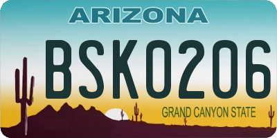 AZ license plate BSK0206