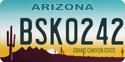 AZ license plate BSK0242