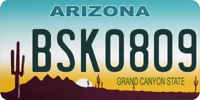 AZ license plate BSK0809