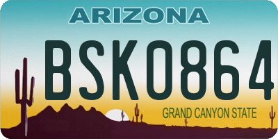 AZ license plate BSK0864