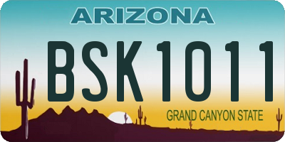 AZ license plate BSK1011