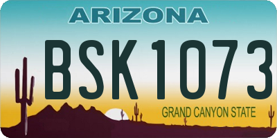 AZ license plate BSK1073