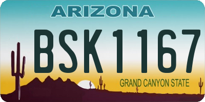 AZ license plate BSK1167